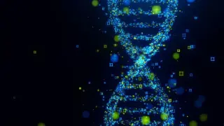 DNA Reveals Two Hidden Ancestors In Modern Humans