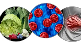 U.S. Cyclospora Outbreak Expands to 48 States Tied to Lettuce from Mexico