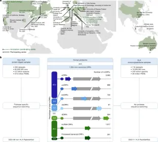 Proteome expanded by microproteins and a new peptidein category