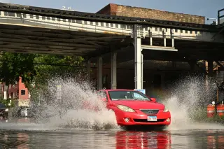 Chicago Weather Havoc: Basement Flooding, Downed Trees, and Outages After Severe Storms