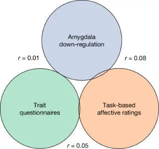 Large-Scale Study Finds No Shared Neural Signature for Emotion Regulation Capacity