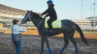 Great White scratched from Kentucky Derby after bucking and flipping at gate