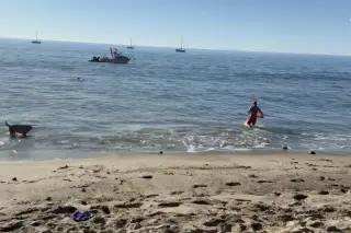 Malibu Kayaker Hospitalized After Double Bite from Mako Shark During Fishing Incident