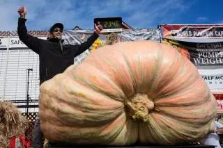 California growers compete for giant pumpkin world record