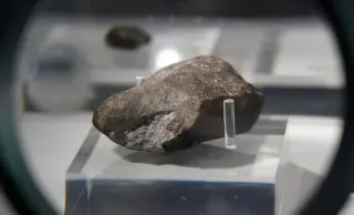 Asteroid Ryugu Carries All Five DNA Bases, Suggesting Spaceborn Prebiotic Chemistry