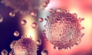 New antiviral surface uses dense nanopillars to crush viruses on contact