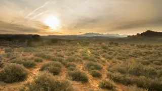 Drylands Could Hit 40% of Earth's Land by 2100, Study Finds