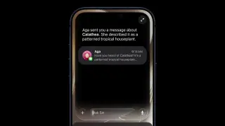 Apple Explains Why Siri Has Its Own App in iOS 27