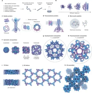 Designing life from first principles: the coming era of de novo protein engineering