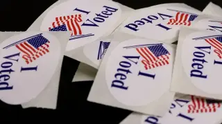 North Texas Midterms See Record Early Voting Despite Registration Glitches