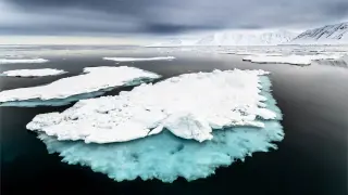 Arctic sea-ice melt triggers nutrient tipping point, threatening the food web