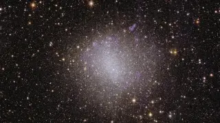 South Dakota Lab Hints at Potential Dark Matter Signal