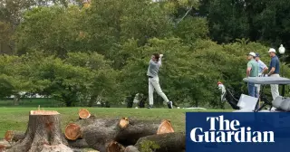 Judge freezes East Potomac golf course work after 430 trees felled over weekend