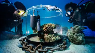 Scientists at Work: Award-Winning Photos Reveal Science in Action