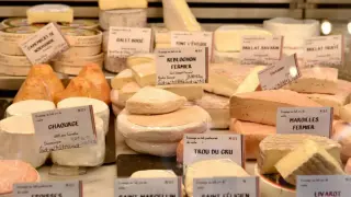 Full-Fat Dairy May Fit Diets Without Weight Gain or Cholesterol Spikes, New Study Finds