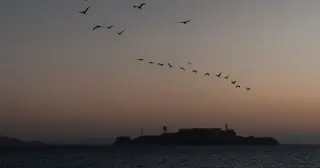 Sea Memorial Turns into a Second Tragedy for a Bay Area Family