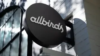 Allbirds rebrands as Smartbird, taps AI veteran to lead AI infrastructure pivot