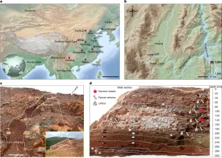 Denisovans in Yunnan: long-term subsistence and bone-tool use at Bianfu Cave