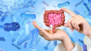 Probiotic Bacteria Forge Localized Immunotherapy for Pancreatic Cancer