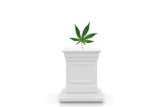 A Millennial Wake-Up Call: Potent Cannabis Comes With Real Costs