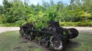 Peleliu: Paradise Island Marked by a Grim WWII Battle