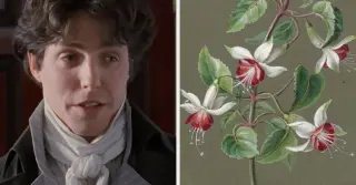 BuzzFeed Launches Floral Quiz to Determine Romantic Archetypes