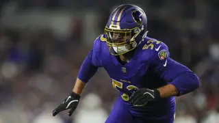 Kyle Van Noy Rejoins Vikings on Practice Squad, Reunites With Flores