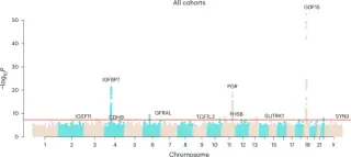 Genetic map of severe pregnancy nausea uncovers 10 risk loci across diverse populations