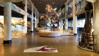 Philly's Academy of Natural Sciences to close museum in 2026, refocusing on outreach and sustainable future