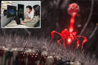 AI designs complete viral genomes, sparking biosafety concerns