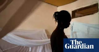 Guinea-Bissau Halts US-Backed Hepatitis B Trial After Seizing Researcher Supplies
