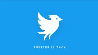 Twitter.now Debuts Amid Trademark Tug‑Of‑War Over Twitter Identity
