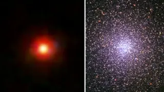 JWST's Little Red Dots May Be the Birthplace of Globular Clusters