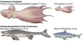 Ancient Kraken Revealed: 60-Foot Octopus Dominated the Cretaceous Seas