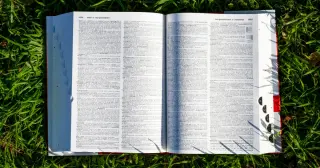 Merriam-Webster Updates Dictionary with 1,400 New Terms, Including 'Looksmaxxing' and 'Meme Coin'