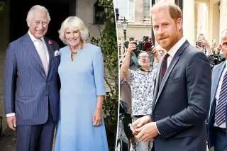 Camilla: The Linchpin in Charles–Harry Reunion