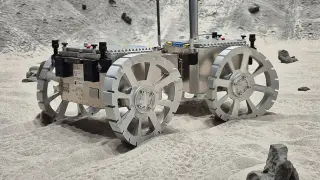 Desert-lizard inspired rover wheels enable sand-swimming on Mars
