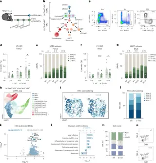 Bone marrow dysfunction drives Alzheimer’s progression by limiting monocyte brain homing