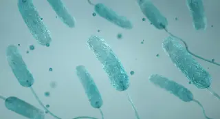 Seventh Death in NYC Legionnaires' Outbreak as 92 Infected in Upper East Side