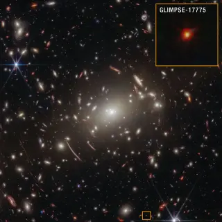 Webb's Deep Spectrum Bolsters Black Hole Star Model for Early-Universe Dots