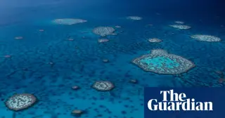 Great Barrier Reef microbiome mapped reveals hundreds of thousands of viruses and hundreds of new bacteria