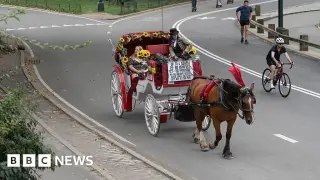 NYC Council to Vote on Historic Ban of Central Park Horse Carriages