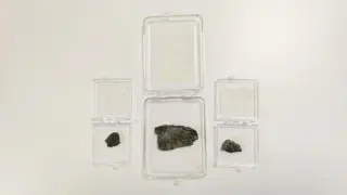 Ballpoint Ink in Martian Meteorites Highlights Contamination Challenge