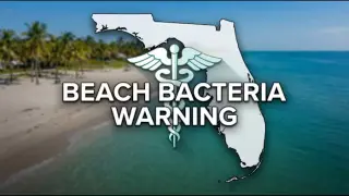 Florida Vibrio Deaths Reach Four as 2026 Cases Climb to 20