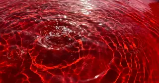 Red Outflow Unmasks Ancient Subglacial Brine on Taylor Glacier