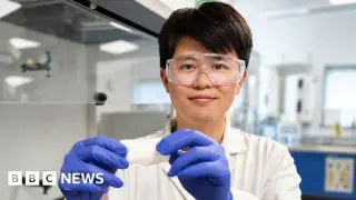 Plant-based wound dressing slashes biofilm formation to speed healing