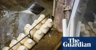 AAP urges nationwide ban on raw milk as outbreaks and political shifts intensify