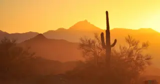 Biosphere 2’s oxygen mystery: microbes and concrete in a glass enclosure