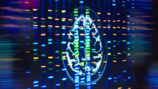 New studies reveal how APOE4 disrupts brain fat metabolism and blood vessels