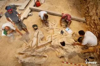 Abric Romaní Finds Redefine Neanderthal Technology Beyond Stone